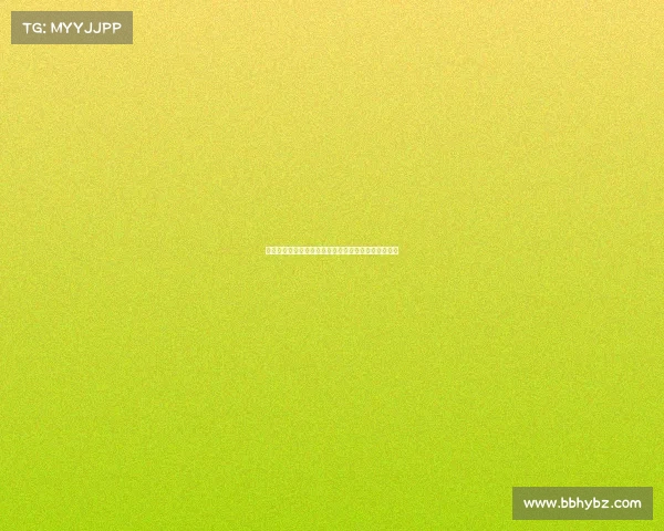 法国里昂足球赛事激情对决点燃球迷热情共享体育盛会